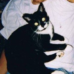 Meet your Posher, Wendy